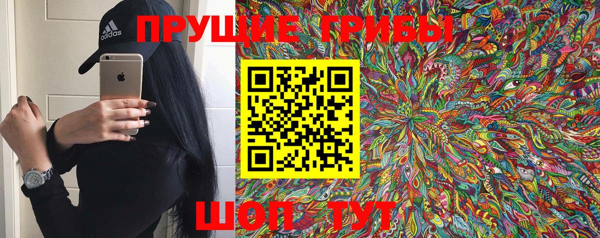 Псилоцибиновые грибы GOLDEN TEACHER  Вход с VPN  цена наркотик  Спасск-Дальний 