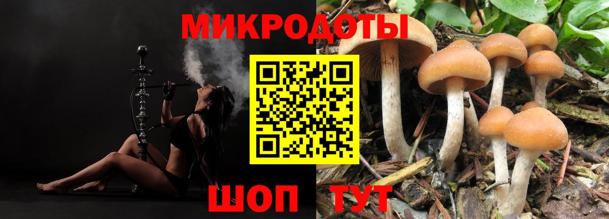 Псилоцибиновые грибы ЛСД Спасск-Дальний